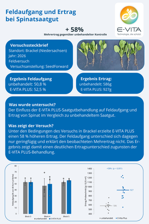 Feldaufgang und Ertrag bei Spinatsaatgut