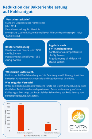 Reduktion der Bakterienbelastung auf Kohlsaatgut
