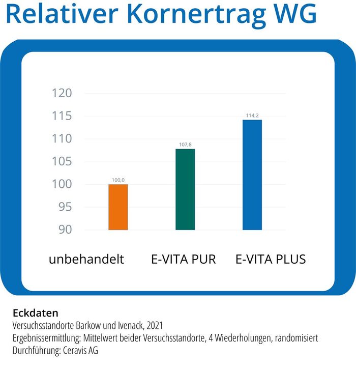 Relativer Kornertrag von Wintergerste