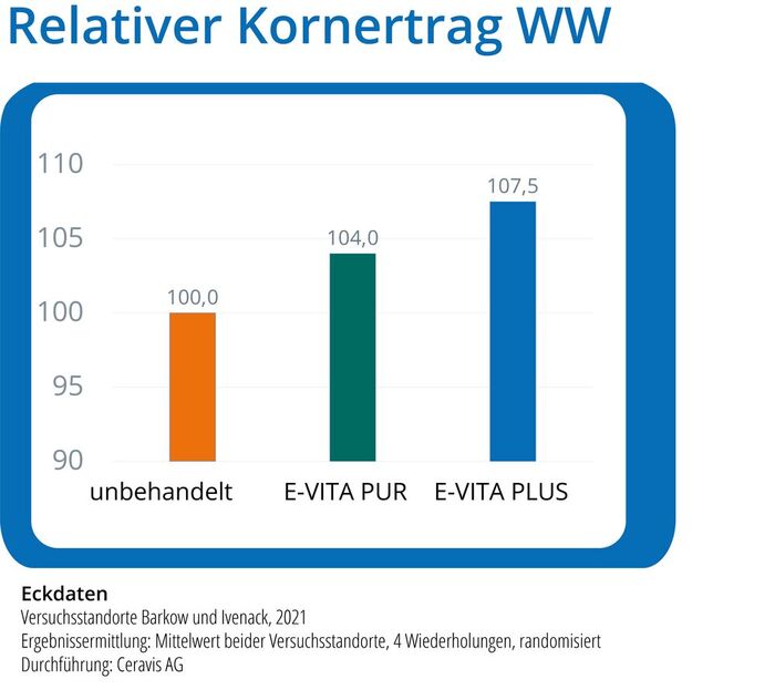 Relativer Kornertrag von Winterweizen