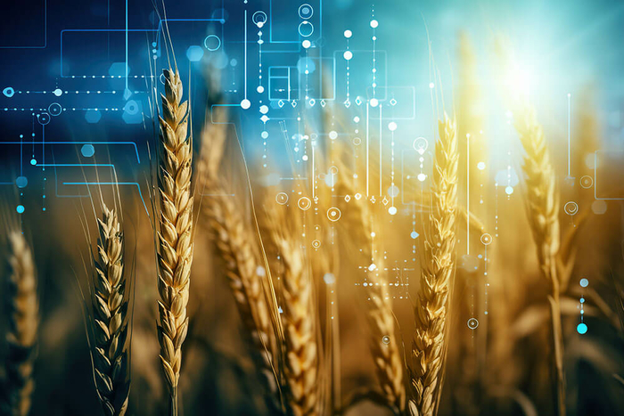 Unsere Vision: digitale nachhaltige Landwirtschaft